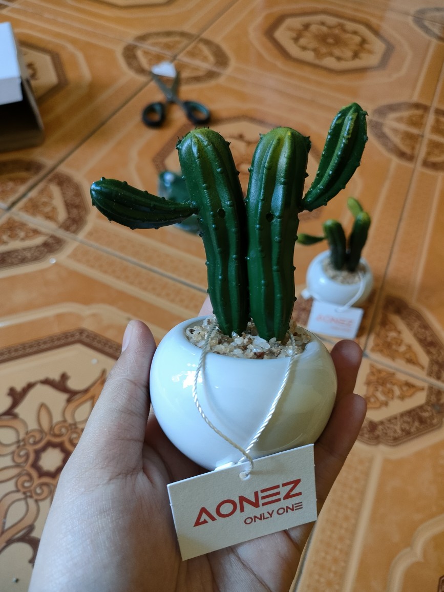 Homes Mystery Box (1 Jenis Produk)