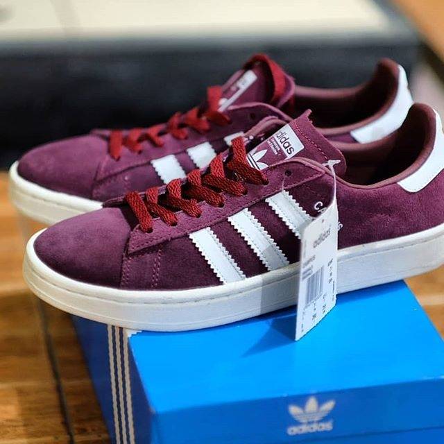 Adidas Campus Original