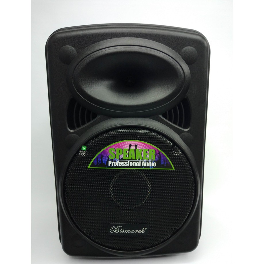 PORTABLE WIRELESS AMPLIFIER SPEAKER SYSTEM BISMARCK BSX-1201