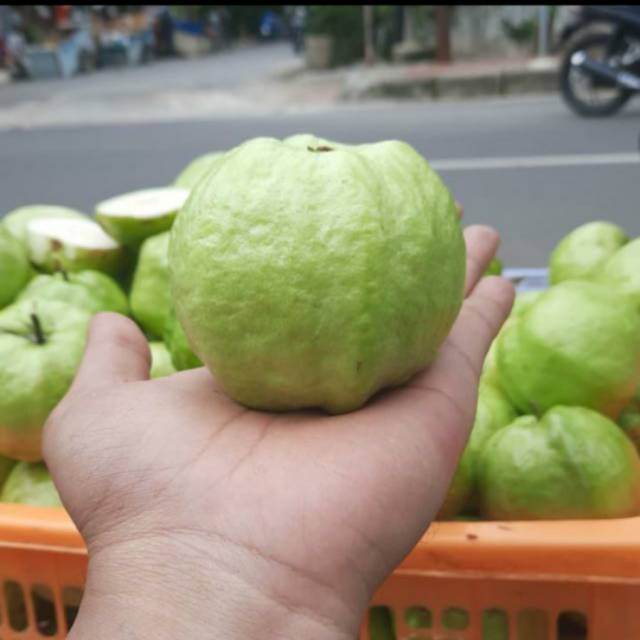 

Jambu kristal