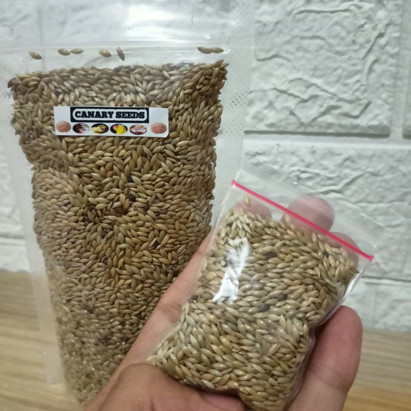 Canary Seed - Makanan Hewan Penyuka Biji Bijian MINI Pack Pakan Canaryseed Hamster Burung Dll