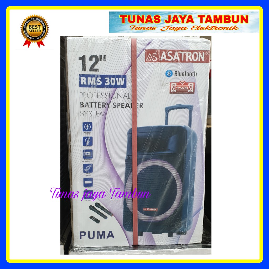 WIRELESS ASATRON PUMA 12 INCH