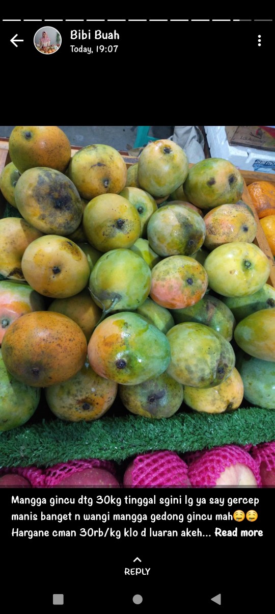 Tissue Tisue Tissu Tisu Nice 900/nice 900 Gr Gram 2 Ply Termurah