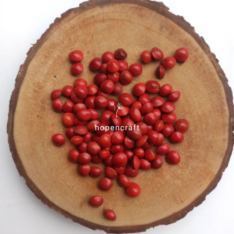 [ 30 gram ] Biji Saga Kering | Saga Pohon