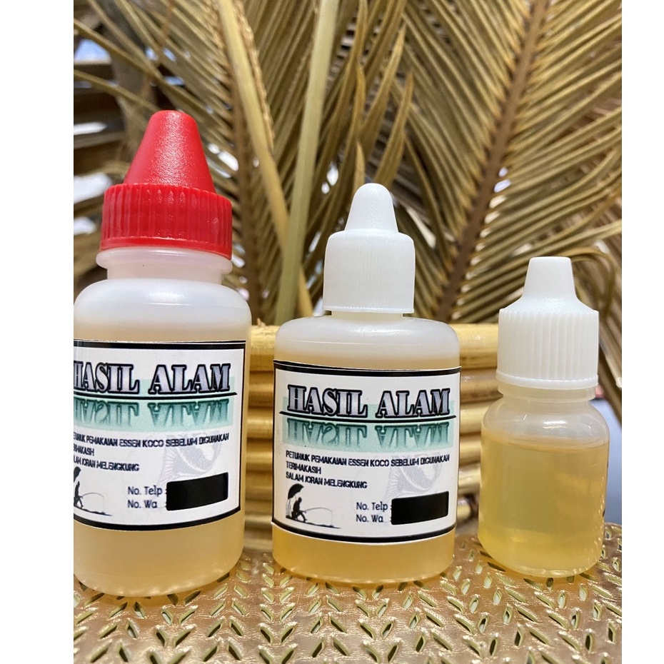 Essen Kepiting Murni special asli  murah terbaik paling ampuh jitu gacor terbaik rame babon galatama