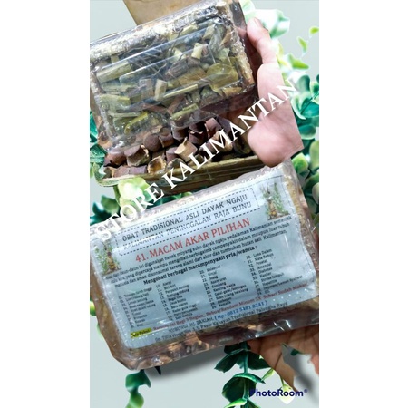 Ramuan dayak 41 macam akar obat segala macam penyakit