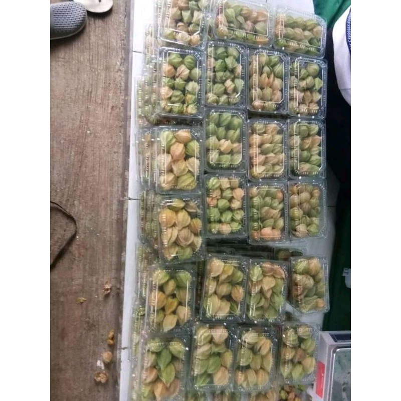 

ciplikan (golden berry) 100grm