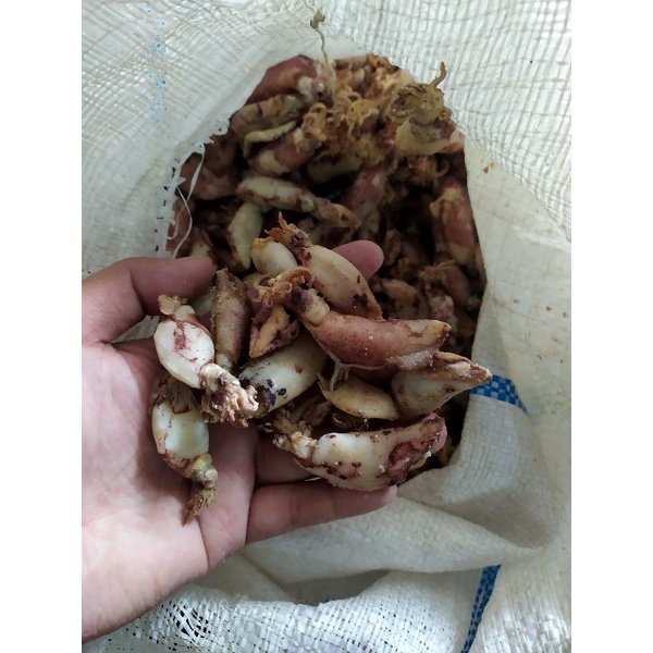 

Cumi Rebus tawar kemasan 500 gram