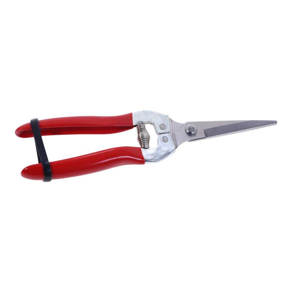 QIAOEN Gunting Taman Ranting Tumbuhan Bunga Pruning Scissors - SK-6