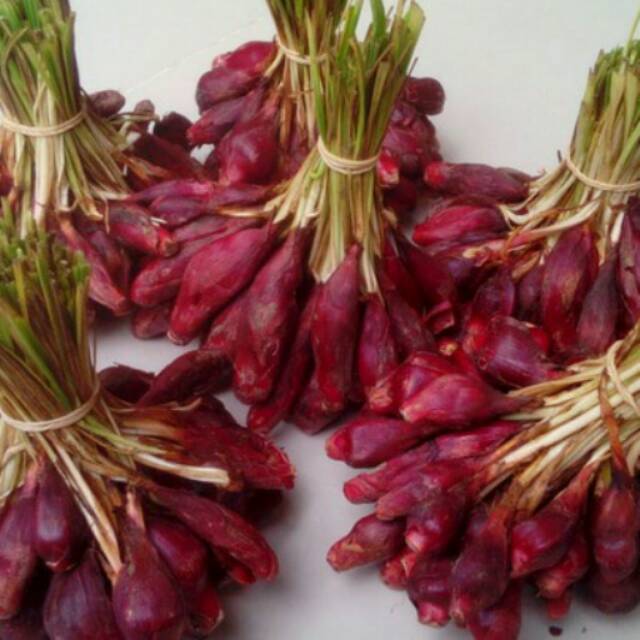 Bawang Dayak Asli Dari Pontianak Shopee Indonesia