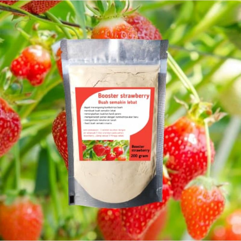 booster strawberry pupuk buah strawberry
