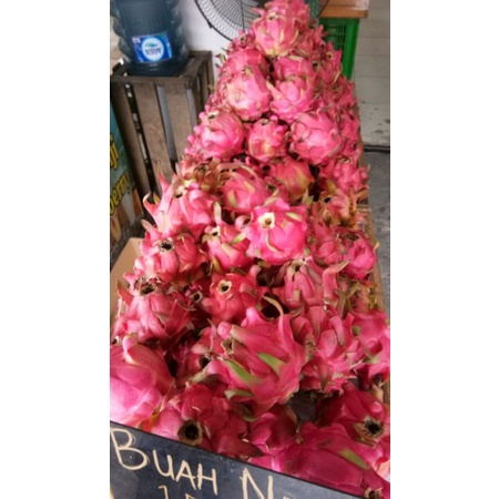 Buah Naga Merah Manis 500 gram-1 kg