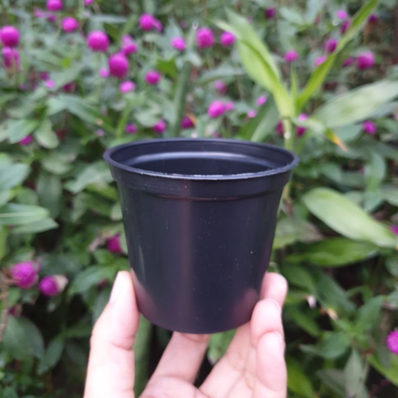 NKT BASIC POLOS 8 cm pot bunga kecil mungil pot kaktus pot mini