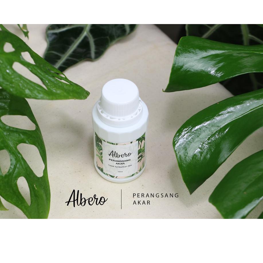 ➶ Albero perangsang/ akar tanaman hias ➻