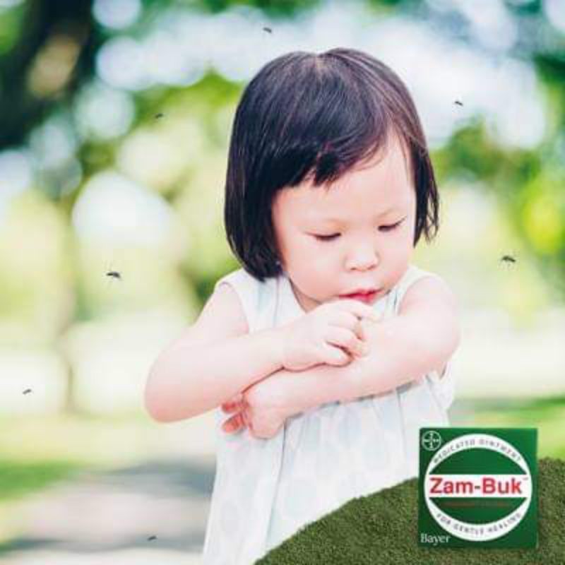 ZAMBUK ORIGINAL 100% TERSEDIA UKURAN BESAR DAN KECIL OBAT MEMAR DIGIGIT NYAMUK DAN SERANGGA