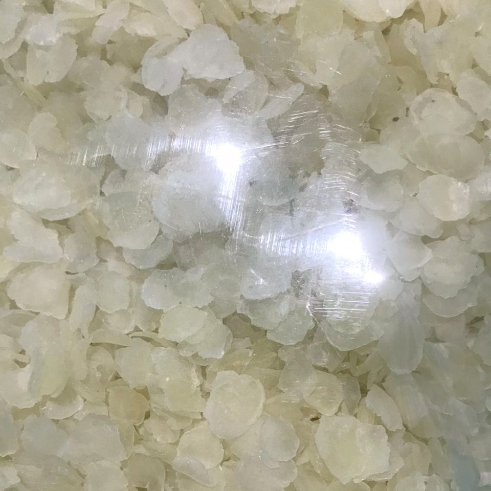 

1kg Snow Lotus seeds xue lian zi 雪莲子