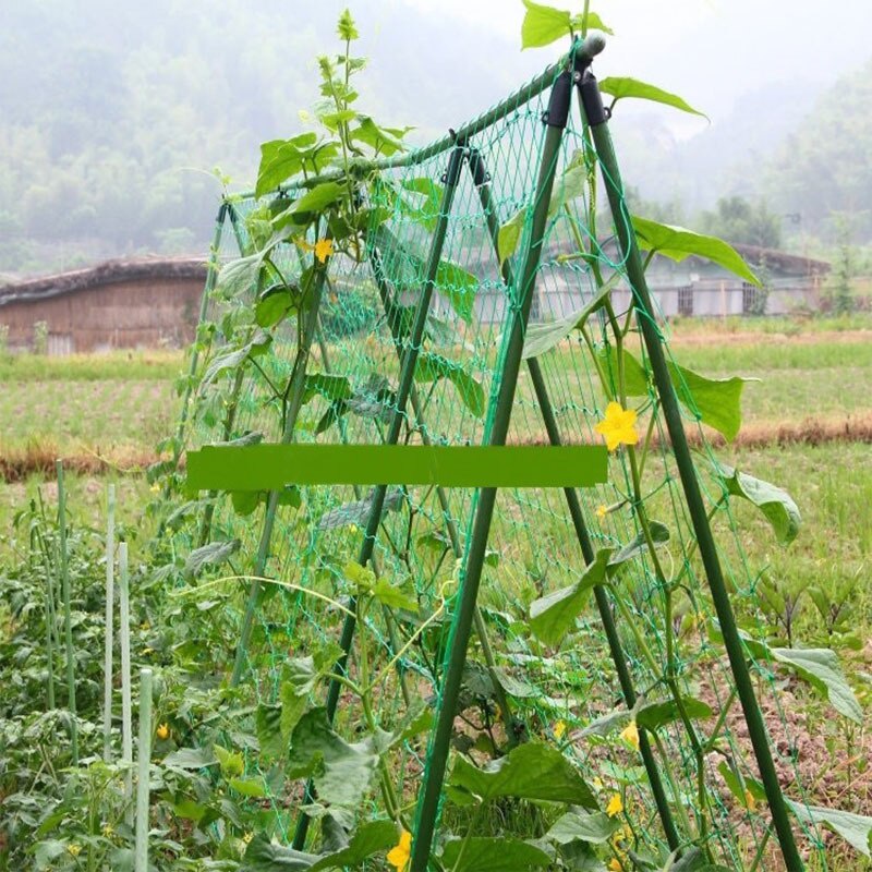 Mi.more Jaring Tanaman 1.8*2.7M /0.9*1.8m/1.8*3.6m Rambatan/Jaring Anggur Sayuran/Plant Climbing Net