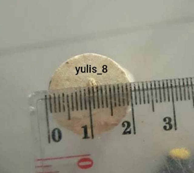 Kayu Dowel, Diameter 2cm, panjang 10cm - 50cm