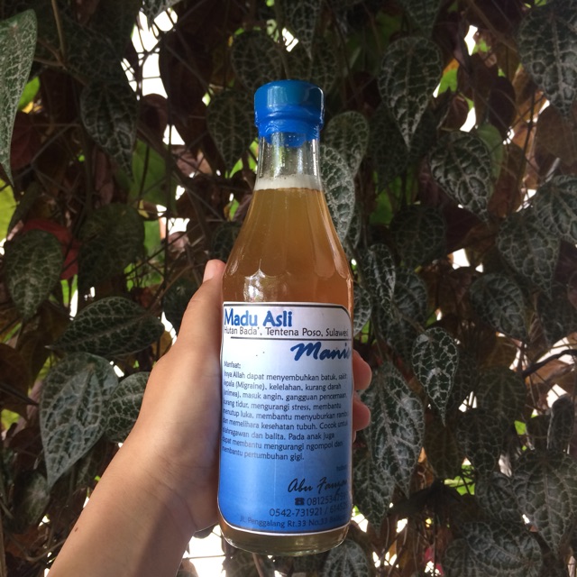 

Madu Manis Asli hutan Tentena Sulawesi