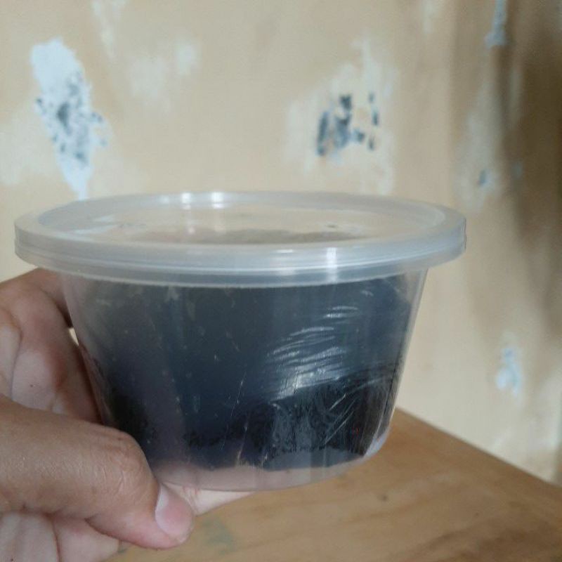 

Petis Udang Asli Sidoarjo 250gram