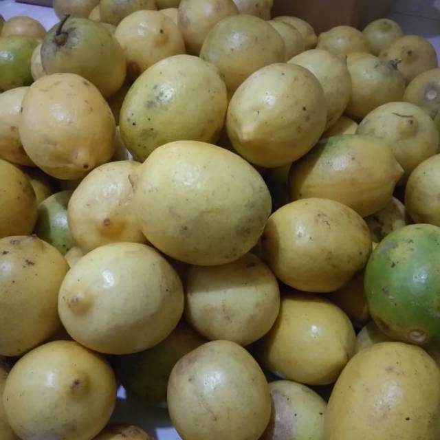 Jeruk Lemon  Lokal 1 kg