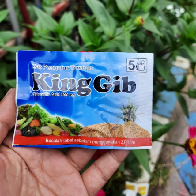 

Premium KINGGIB king gib Zpt zat pengatur tumbuh
