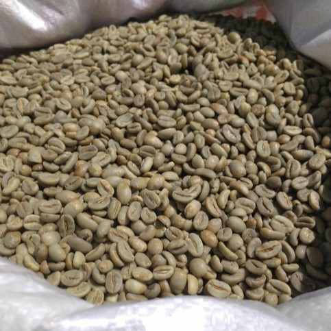

5Kg. Biji Kopi Green Bean Arabika Aceh Gayo / Aceh Gayo Arabica Green Beans