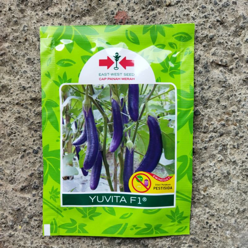 BENIH TERONG UNGU YUVITA 1.100 BUTIR