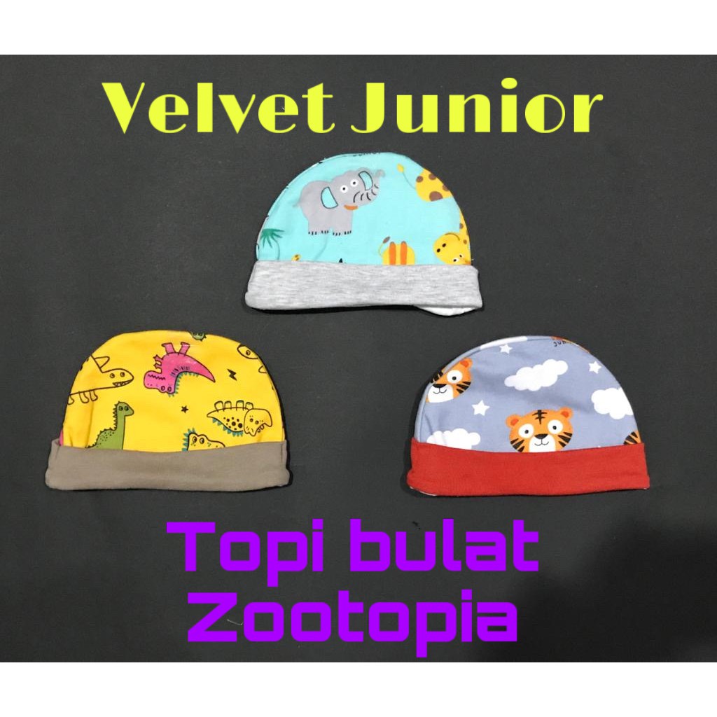 3pcs Topi Bulat Zootopia  Velvet  Junior  Shopee Indonesia