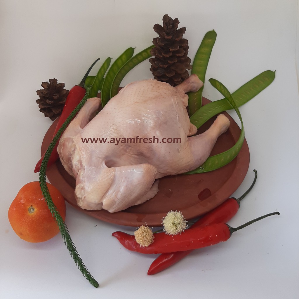 

Ayam Karkas, Ayam Broiler, Ayam Kecil, Baby Chicken 900 - 1.000 Gram