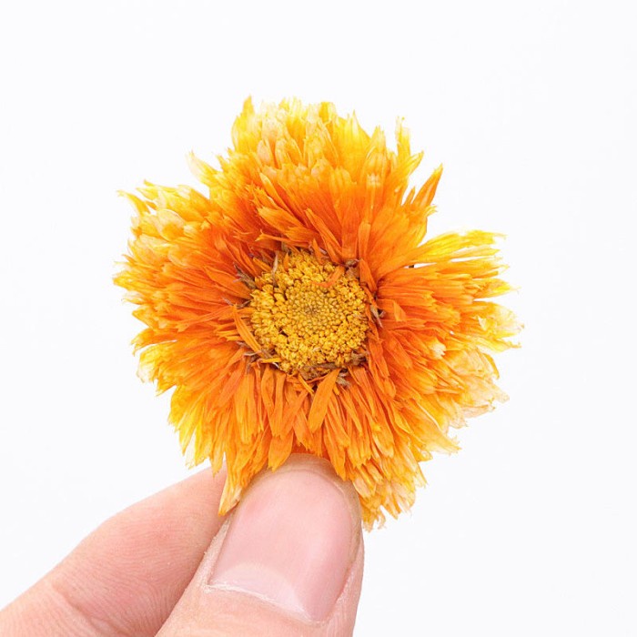 

B062D Dried Calendula Flowers Tea / Marigold Flower Tea (25G) - 25 Gram 054S