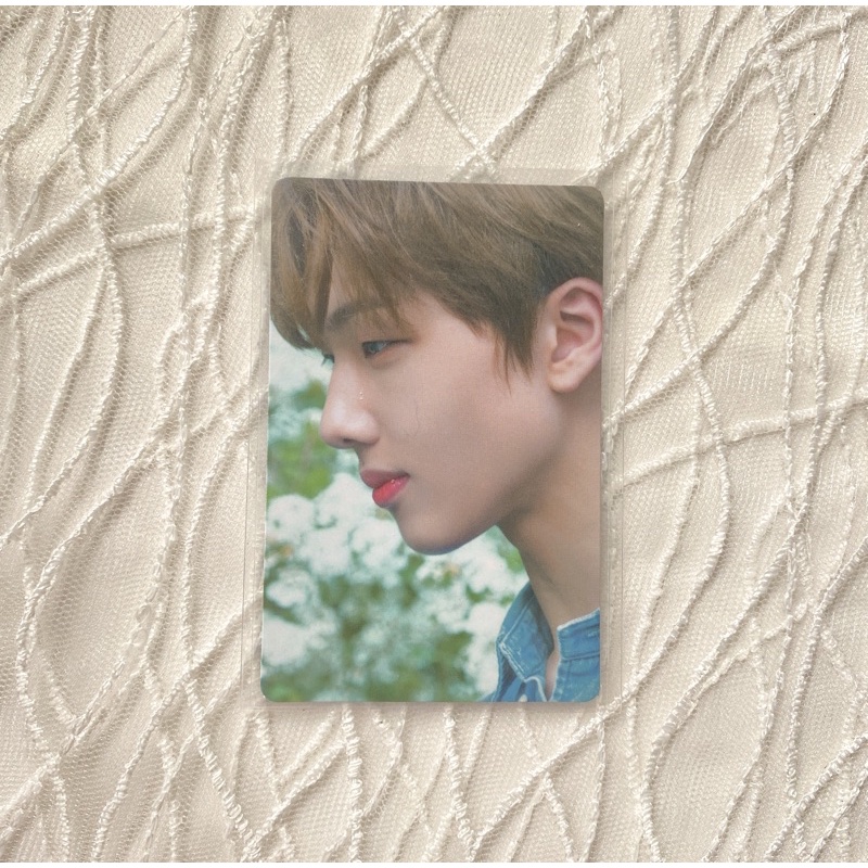 photocard pc jisung apm a precious moment (booked)