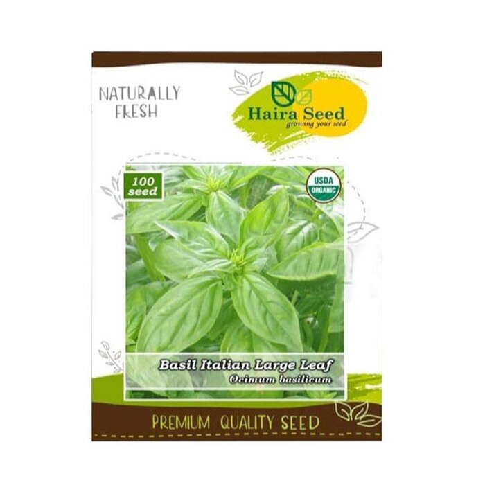 Biji Berukuran Lebih Besar Dibandingkan Mudah