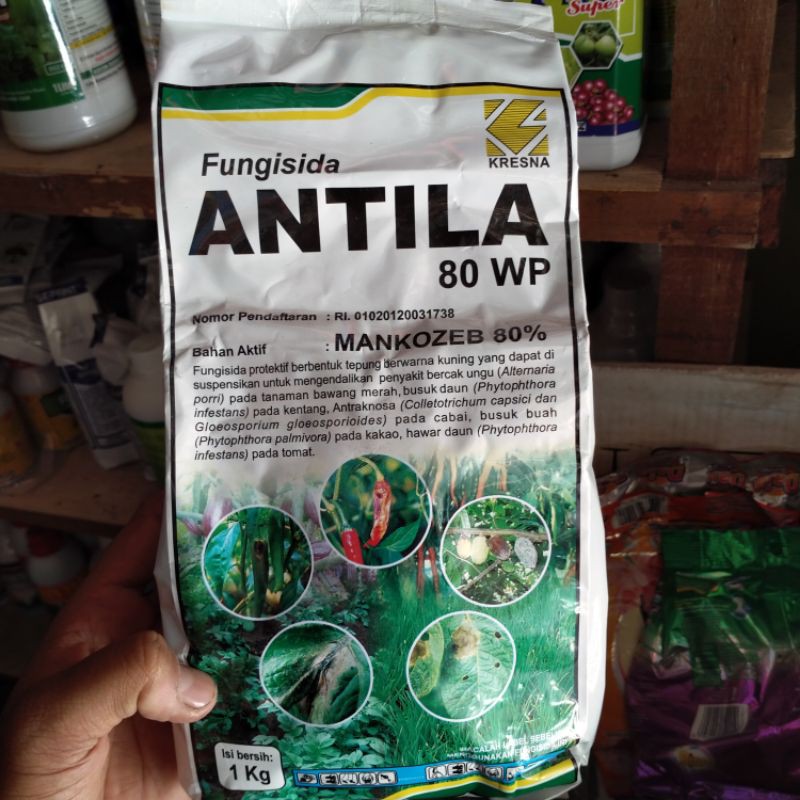 Fungisida ANTILA 1 KG