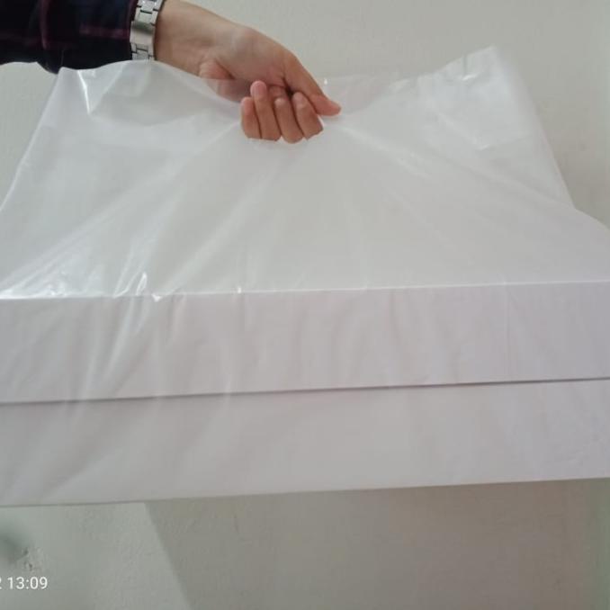 kios.lucinda - Kantong Plastik Box Pizza 30 isi 50 pcs