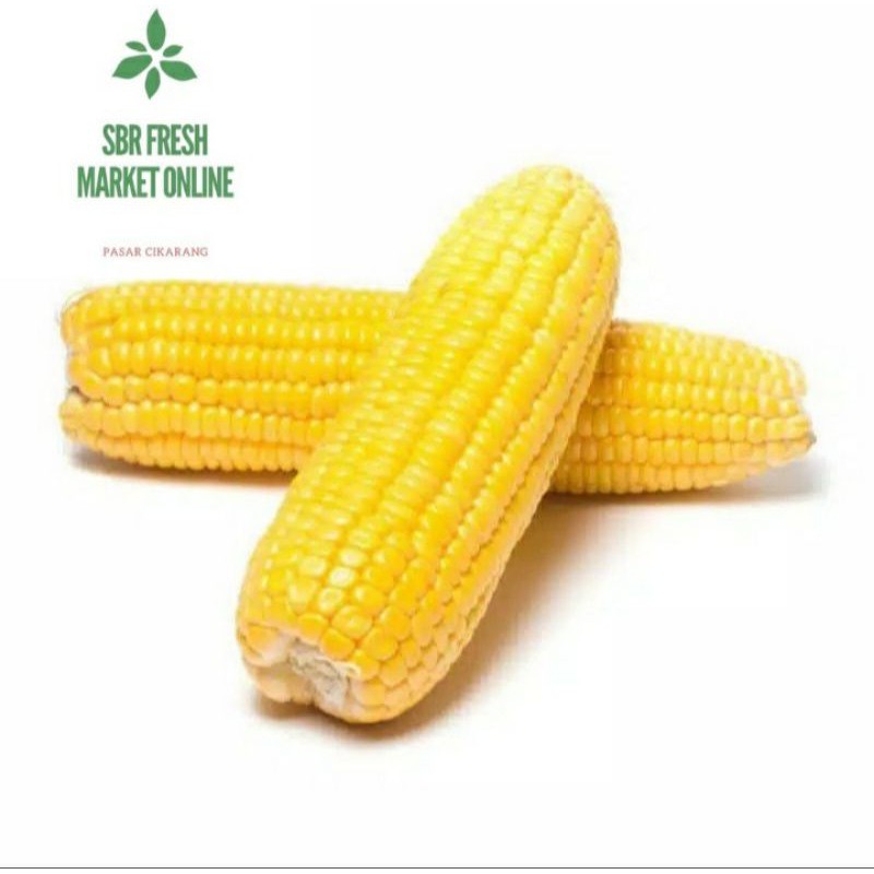 

Jagung Manis Organik Fresh