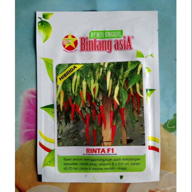 Benih Biji Bibit Cabe Rawit RINTA F1 2300bj