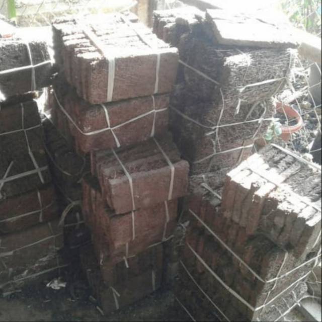 Lempeng pakis media tanam / papan pakis media tanam anggrek