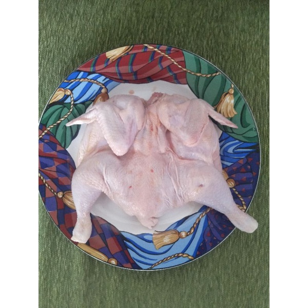 

AYAM KARKAS UKURAN 06-07gr