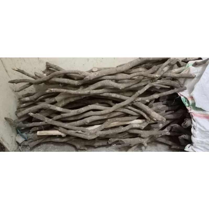 Kayu Bahan Tongkat Nagasari