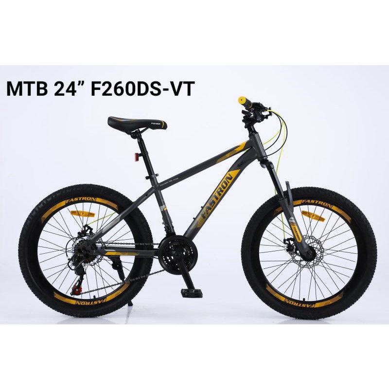 Sepeda Gunung MTB Fastron 24 F 260 DS VT Fastron