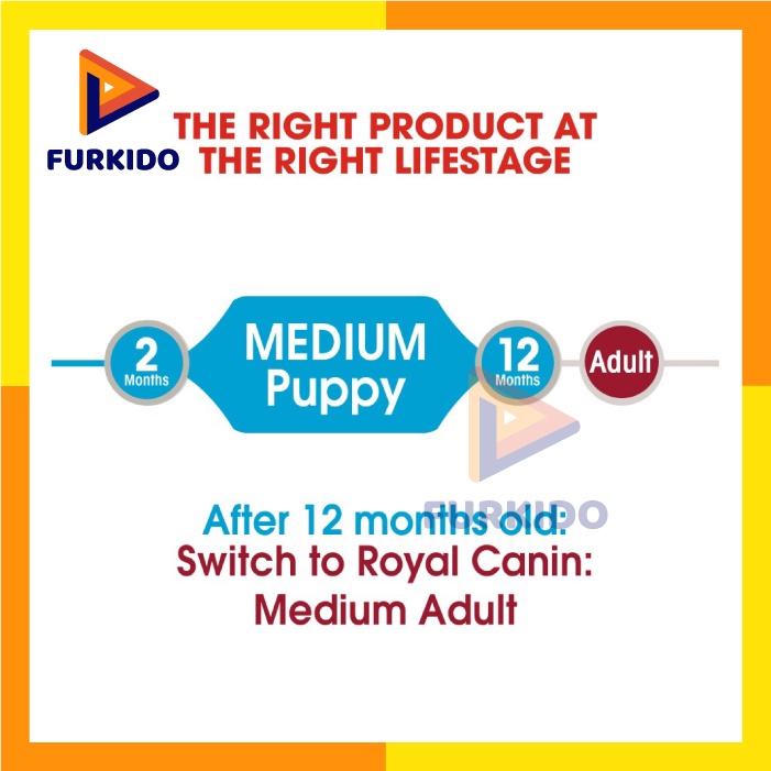 Royal Canin Puppy Medium 10 KG