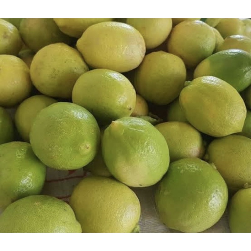 

jeruk lemon lokal / 1 kilogram \ murah