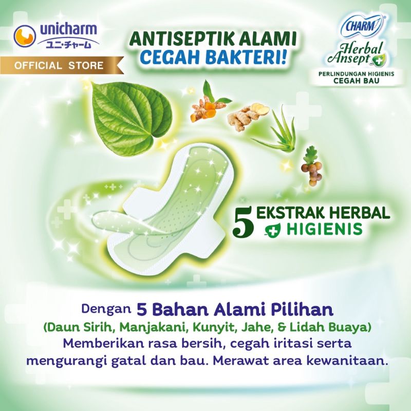 Charm Pembalut Herbal Ansept+