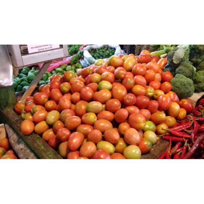 

Sayur Buah Tomat Segar 250gr