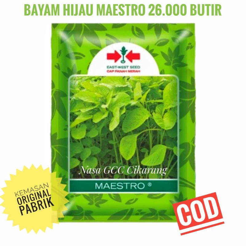 BENIH BAYAM HIJAU MAESTRO CAP PANAH MERAH 26.000 BUTIR