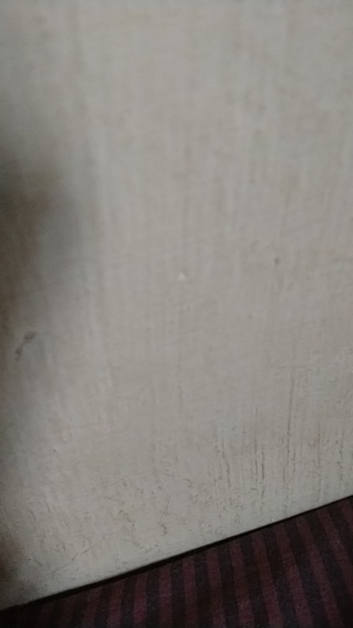 Kotak Plastik 15 Sekat Organizer Perhiasan / Anting/ Manik- Manik