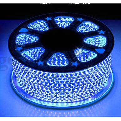 Lampu Led Selang SMD 5050 220V Lampu Plafon Led Strip Anti Air Tahan Air Tumblr Per Meter