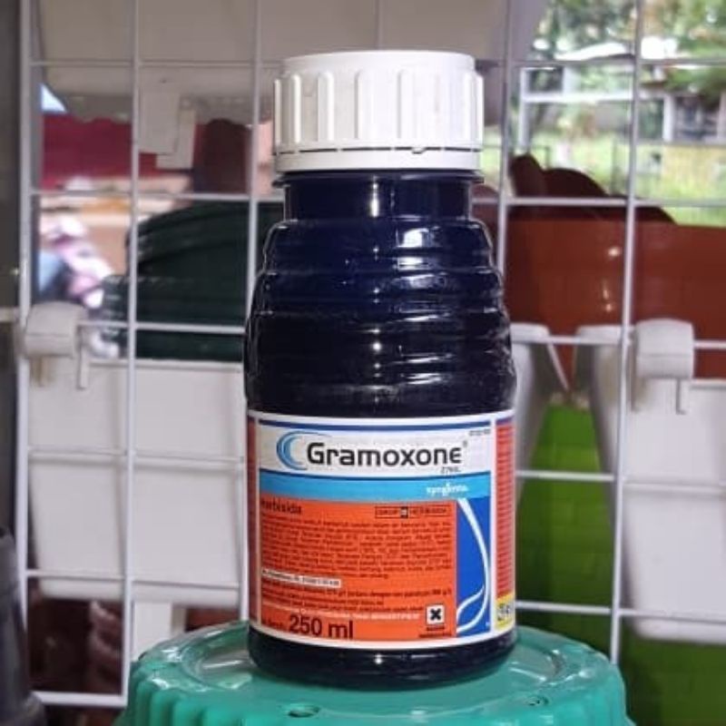 GRAMOXONE RACUN RUMPUT