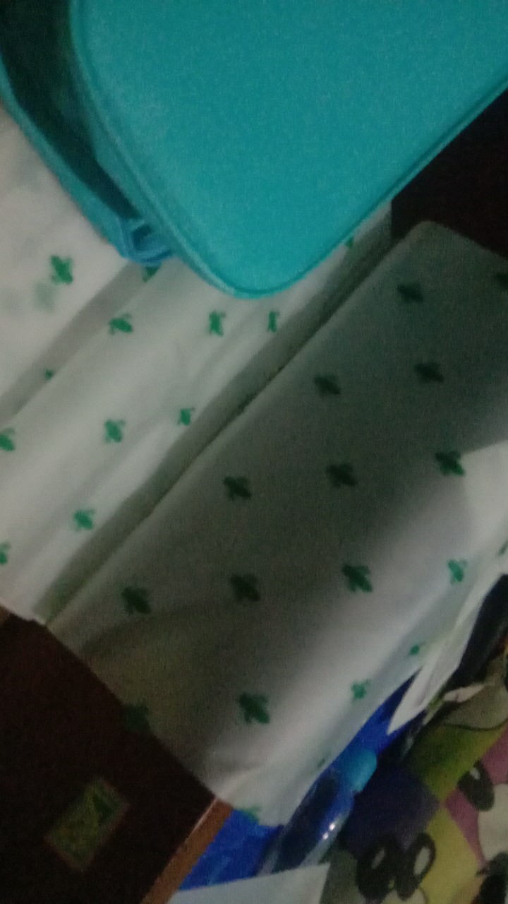 Batamgrosir.id | Kantong Storage Bag Ziplock Motif Kaktus Sedang Part 1